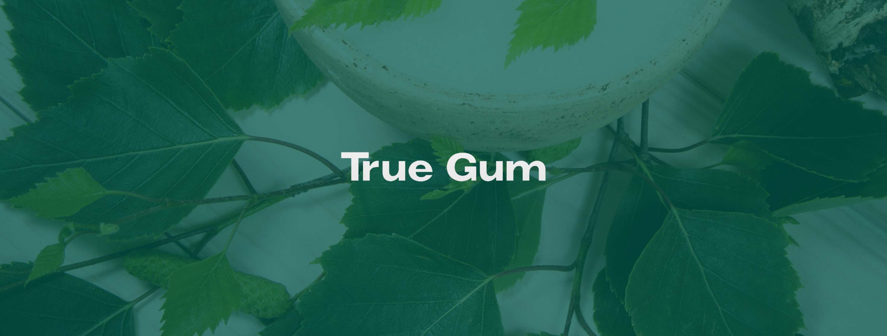 True Gum